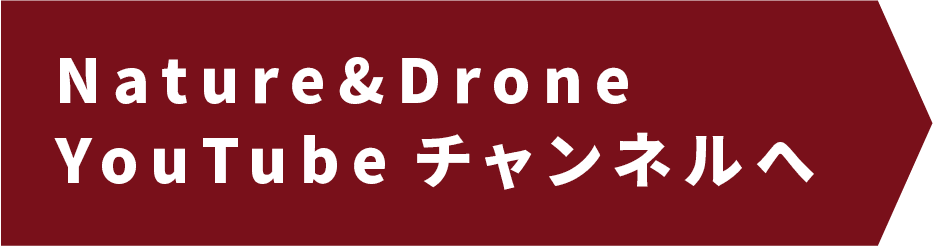 Youtubeチャンネルはこちら